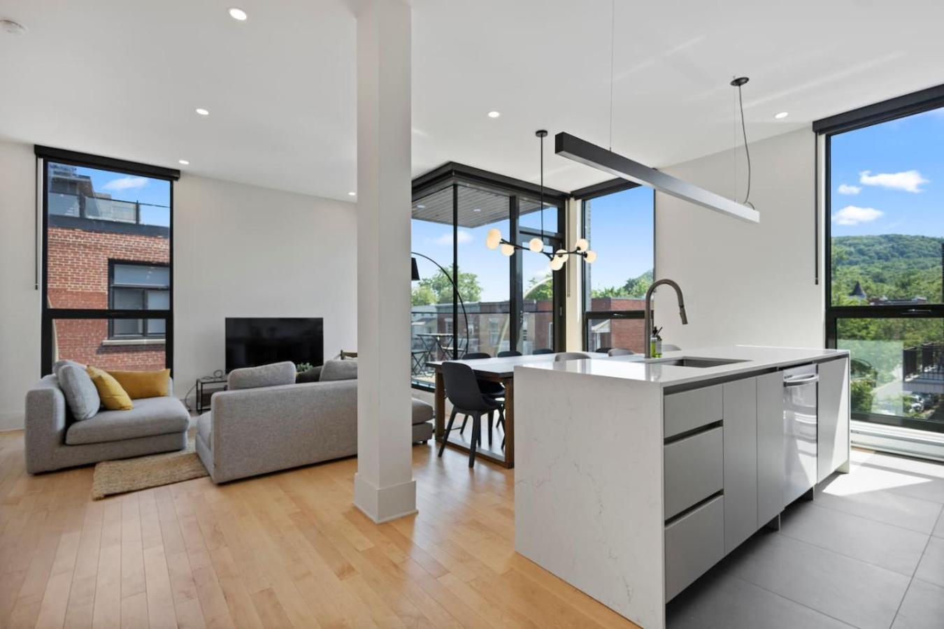 Amazing And Spacious 5br2b In Heart Of Plateau Zt8 Apartment